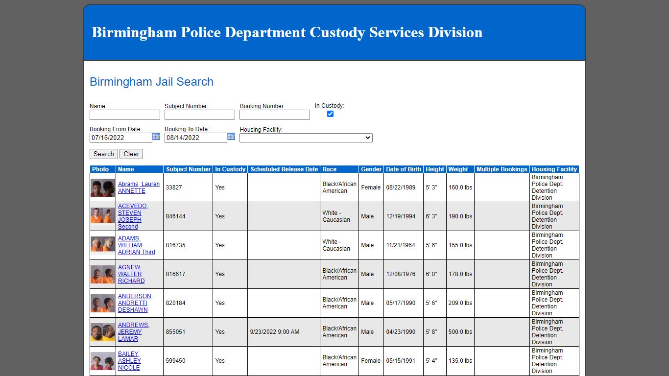 Birmingham Jail Search